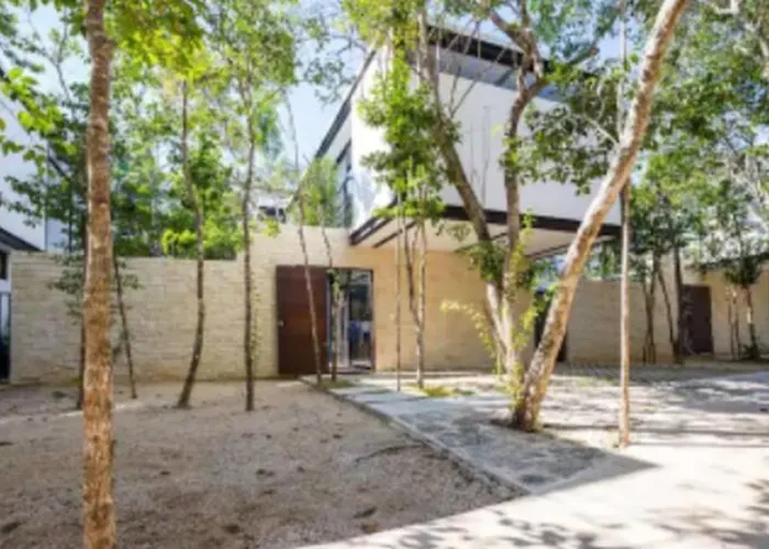 Hotel Wonderful Jungle In Mun With Private Pool Tulum